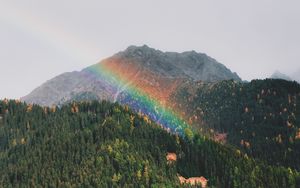 Preview wallpaper mountains, rainbow, landscape, forest, trees