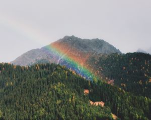 Preview wallpaper mountains, rainbow, landscape, forest, trees