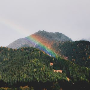 Preview wallpaper mountains, rainbow, landscape, forest, trees