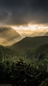 Preview wallpaper mountains, rays, forest, fog