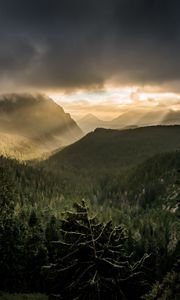 Preview wallpaper mountains, rays, forest, fog