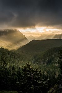 Preview wallpaper mountains, rays, forest, fog