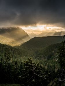 Preview wallpaper mountains, rays, forest, fog