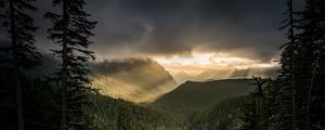 Preview wallpaper mountains, rays, forest, fog
