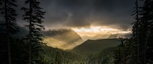 Preview wallpaper mountains, rays, forest, fog