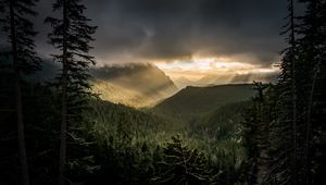 Preview wallpaper mountains, rays, forest, fog