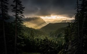 Preview wallpaper mountains, rays, forest, fog