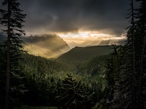 Preview wallpaper mountains, rays, forest, fog