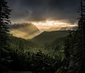 Preview wallpaper mountains, rays, forest, fog