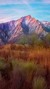 Preview wallpaper mountains, reeds, grass, sky