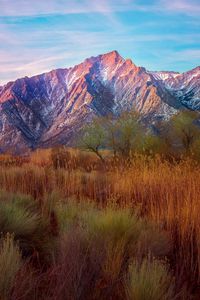 Preview wallpaper mountains, reeds, grass, sky