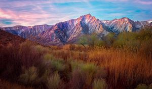 Preview wallpaper mountains, reeds, grass, sky