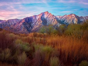 Preview wallpaper mountains, reeds, grass, sky