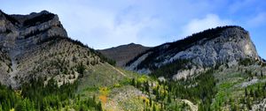 Preview wallpaper mountains, relief, forest, trees, water