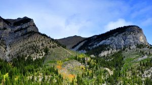 Preview wallpaper mountains, relief, forest, trees, water
