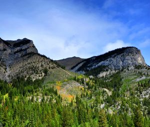 Preview wallpaper mountains, relief, forest, trees, water