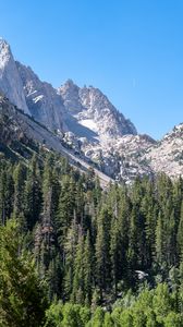 Preview wallpaper mountains, relief, forest, trees, landscape, aerial view