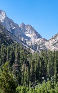 Preview wallpaper mountains, relief, forest, trees, landscape, aerial view