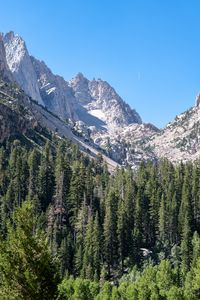 Preview wallpaper mountains, relief, forest, trees, landscape, aerial view