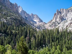 Preview wallpaper mountains, relief, forest, trees, landscape, aerial view