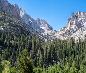 Preview wallpaper mountains, relief, forest, trees, landscape, aerial view