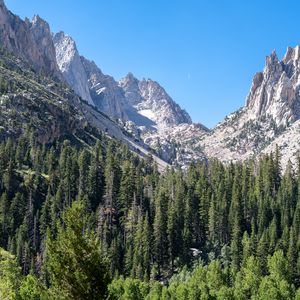 Preview wallpaper mountains, relief, forest, trees, landscape, aerial view