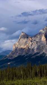 Preview wallpaper mountains, relief, forest, trees, landscape, nature