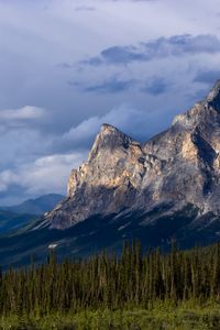 Preview wallpaper mountains, relief, forest, trees, landscape, nature