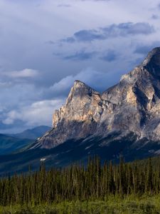 Preview wallpaper mountains, relief, forest, trees, landscape, nature