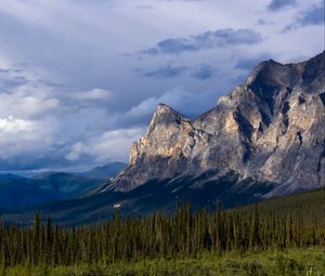 Preview wallpaper mountains, relief, forest, trees, landscape, nature