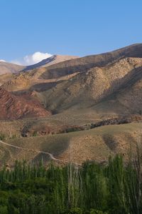 Preview wallpaper mountains, relief, peaks, trees, forest, landscape