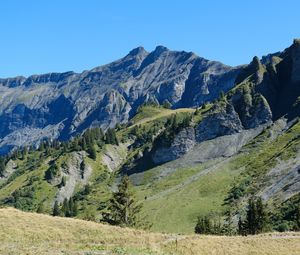 Preview wallpaper mountains, relief, trees, nature, landscape