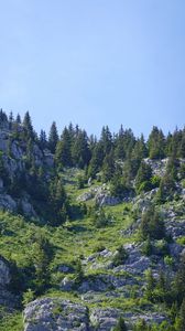 Preview wallpaper mountains, relief, trees, nature
