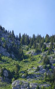Preview wallpaper mountains, relief, trees, nature