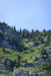 Preview wallpaper mountains, relief, trees, nature