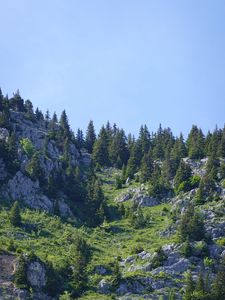Preview wallpaper mountains, relief, trees, nature