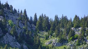 Preview wallpaper mountains, relief, trees, nature