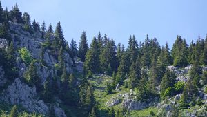 Preview wallpaper mountains, relief, trees, nature