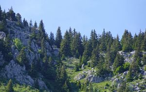 Preview wallpaper mountains, relief, trees, nature