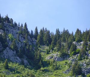 Preview wallpaper mountains, relief, trees, nature