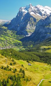 Preview wallpaper mountains, relief, trees, forest, nature, landscape, aerial view