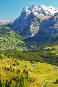 Preview wallpaper mountains, relief, trees, forest, nature, landscape, aerial view