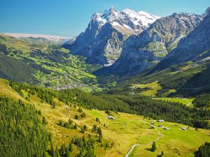 Preview wallpaper mountains, relief, trees, forest, nature, landscape, aerial view