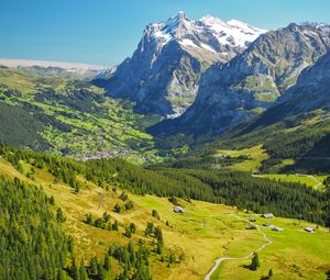 Preview wallpaper mountains, relief, trees, forest, nature, landscape, aerial view