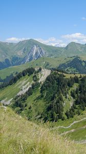 Preview wallpaper mountains, relief, trees, nature, landscape, aerial view