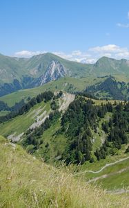 Preview wallpaper mountains, relief, trees, nature, landscape, aerial view