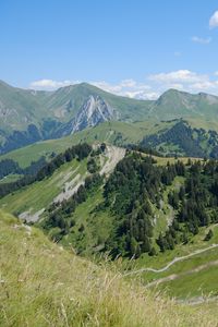 Preview wallpaper mountains, relief, trees, nature, landscape, aerial view