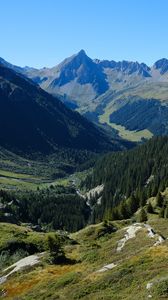 Preview wallpaper mountains, relief, trees, landscape, aerial view