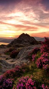 Preview wallpaper mountains, relief, wild flowers, twilight, landscape