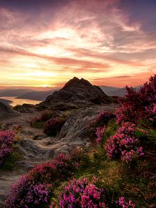 Preview wallpaper mountains, relief, wild flowers, twilight, landscape